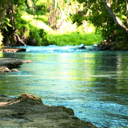 Idilio Escape Daire Ocho Rios Dış mekan fotoğraf
