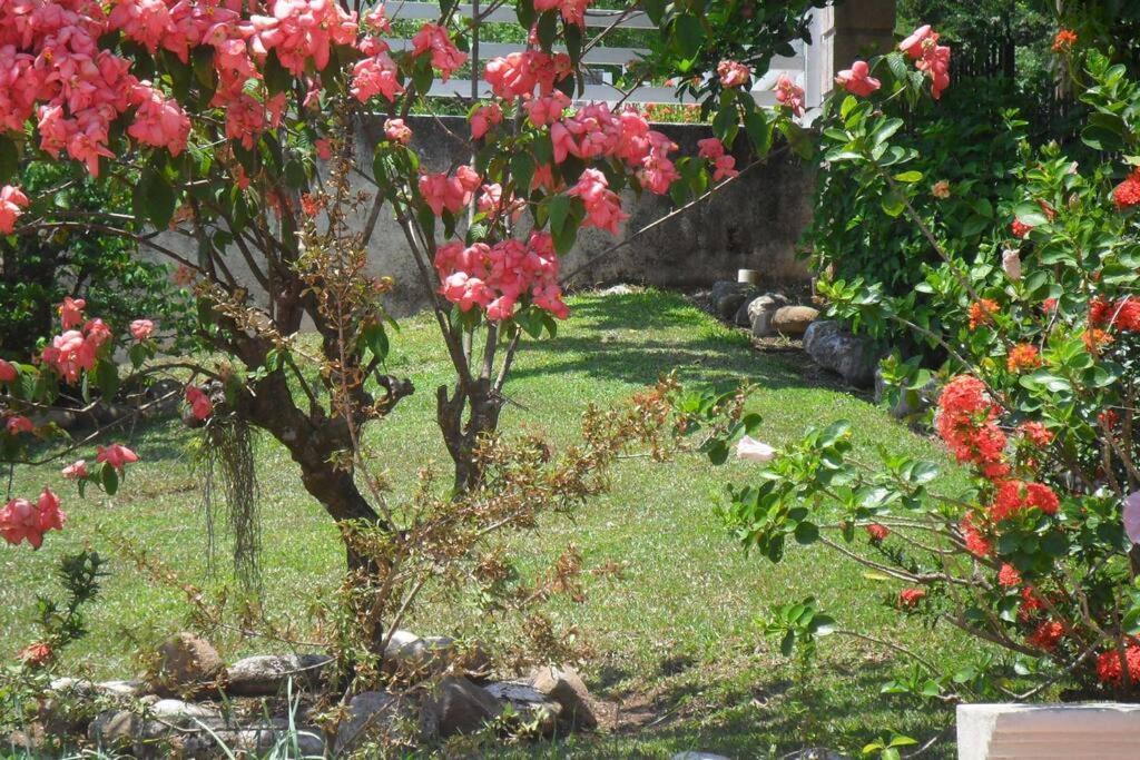 Idilio Escape Daire Ocho Rios Dış mekan fotoğraf